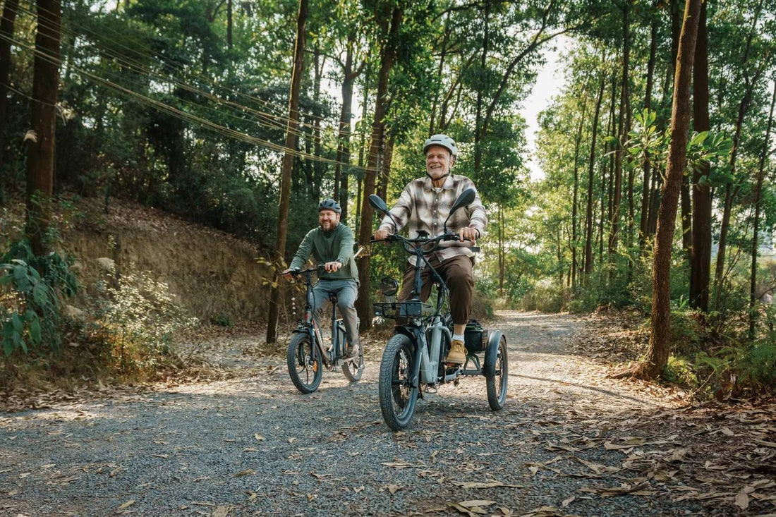 Why the F20 Mate II Electric Tricycle Is One of the Best E-Bikes for Seniors in Europe