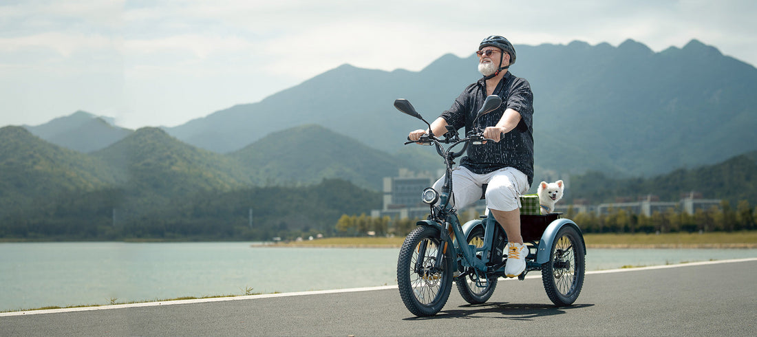 3-Wheel E-Bikes: Worth It in Europe for 2025?