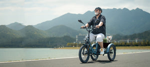 3-Wheel E-Bikes: Worth It in Europe for 2025?