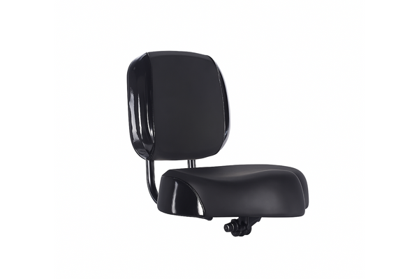 Comfort Bike Seat with Backrest (Save more with ebike BUT not for separate sale)