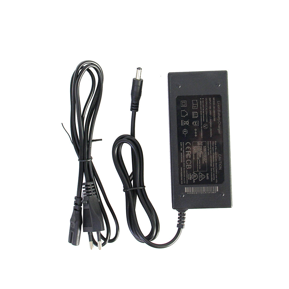 Charger for Ebike
