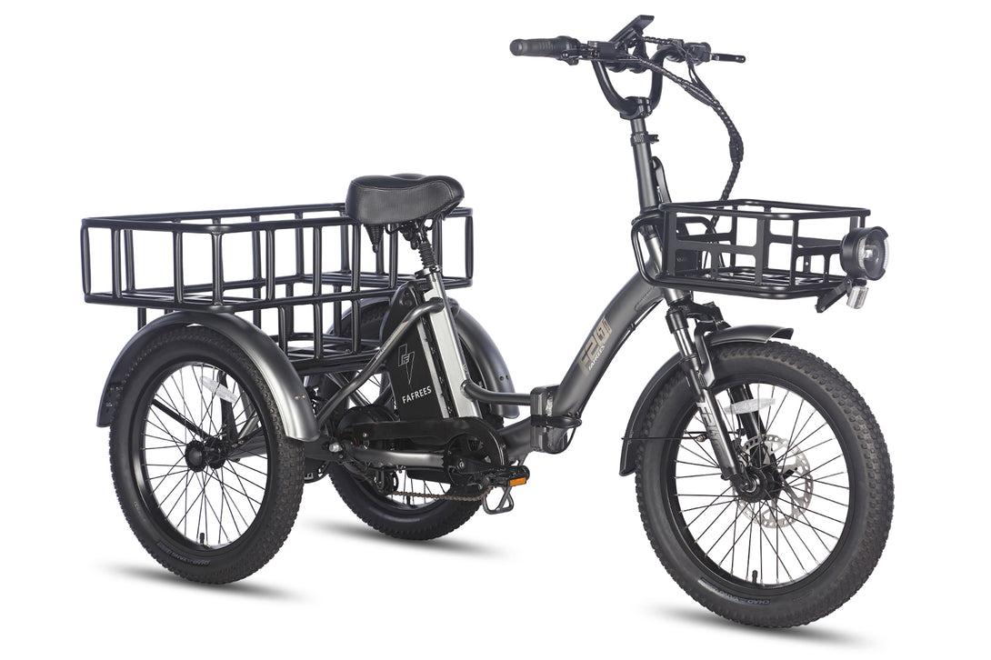 Fafrees F20 Mate Electric Trike: City, Fat Tire, Cargo Ebike, Samsung ...