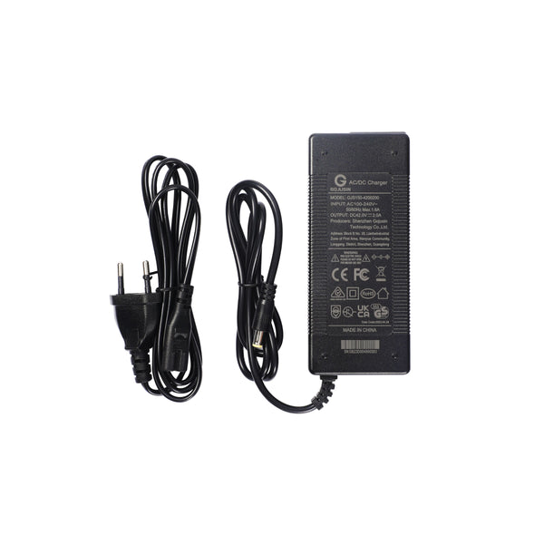 Charger for Ebike
