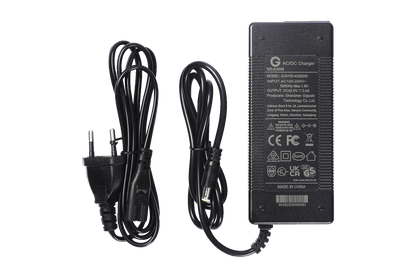 Charger for Ebike
