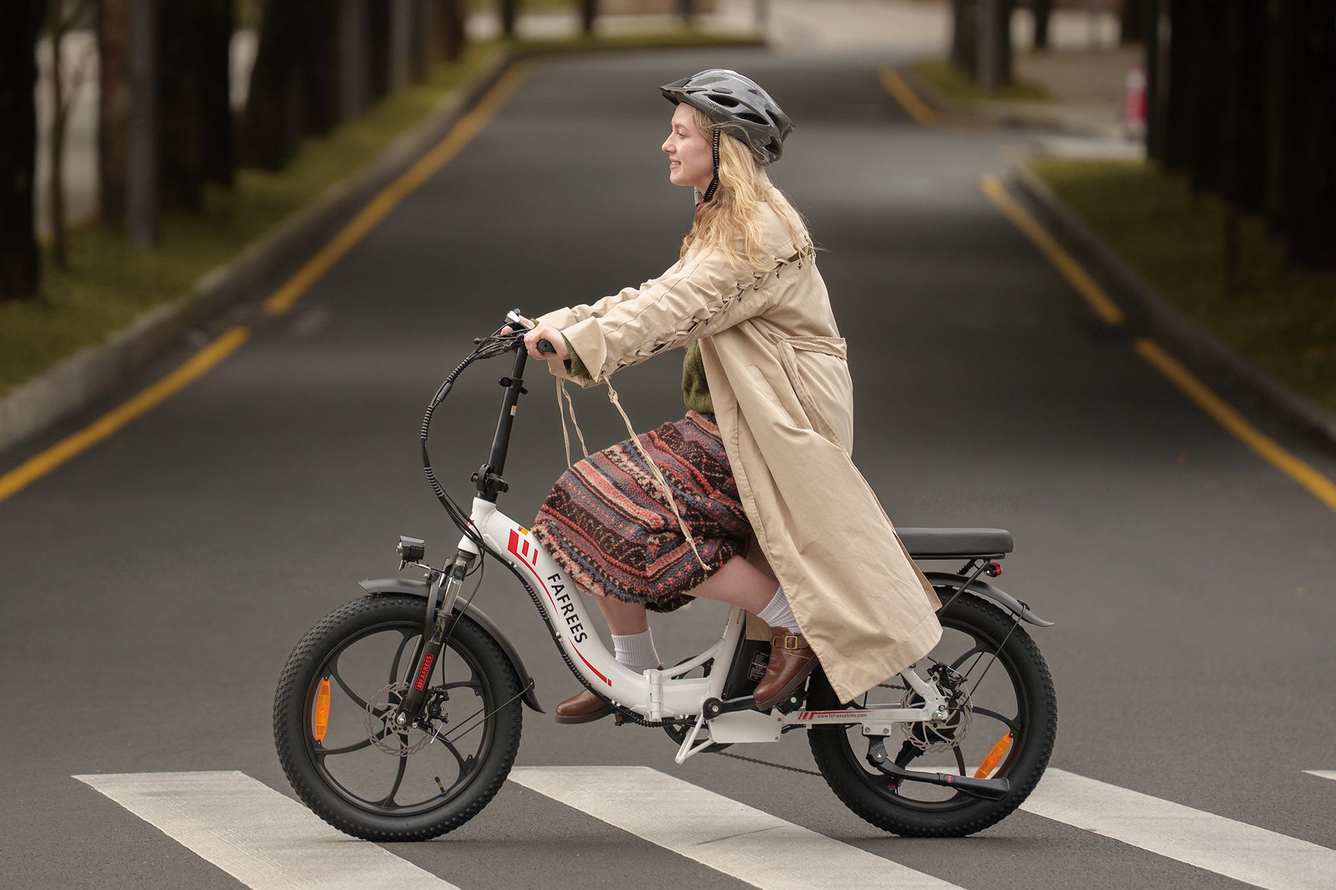 fafrees f20 faltbares elektrofahrrad Fafrees F20 Ebike