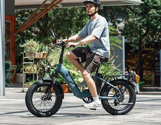fafreesebike